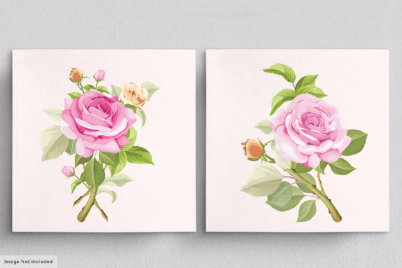 Download Beautiful Roses Hand Drawn Illustrations - Hand drawn Collection