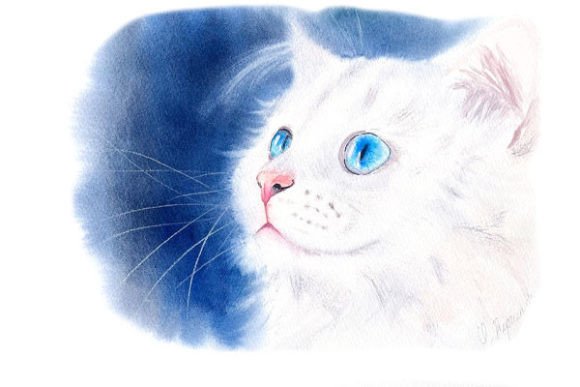 Download White Kitty Digital Prints PNG Files - Premium Bundle