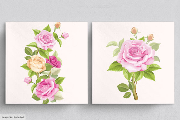 Download Beautiful Roses Hand Drawn Illustrations - Hand drawn Collection