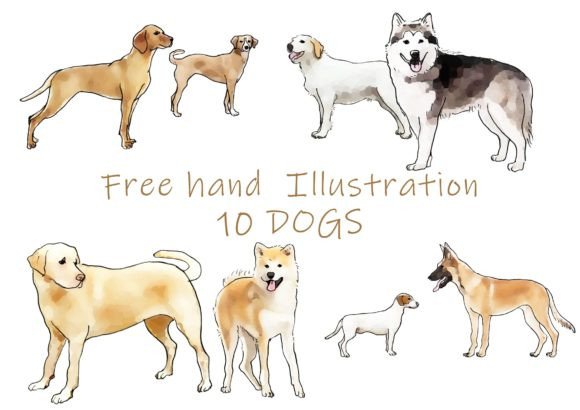 Download Freehand Illustration of 10 Dogs - Freehand illustration Collection