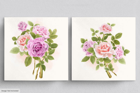 Download Beautiful Roses Hand Drawn Illustrations - Hand drawn Collection
