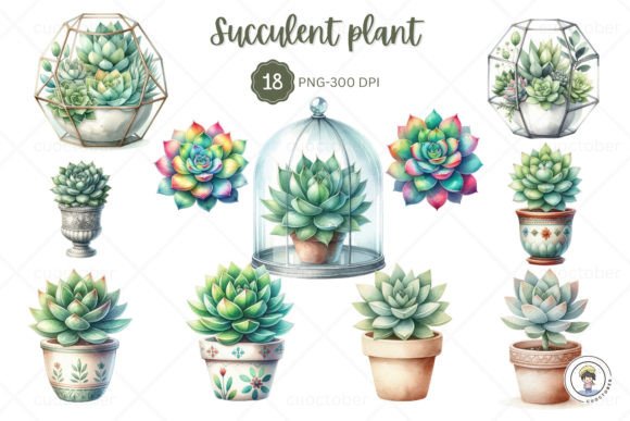 Download Watercolor Succulent Plant Clipart - Premium Resources