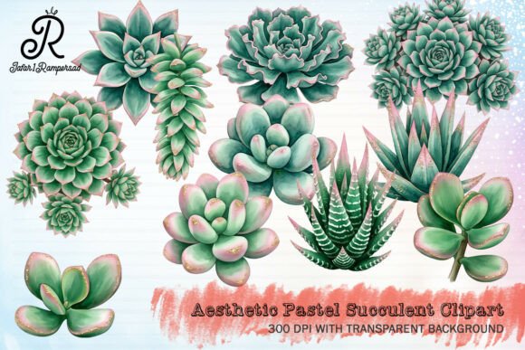 Download Aesthetic Pastel Succulent Clipart - Succulent Collection