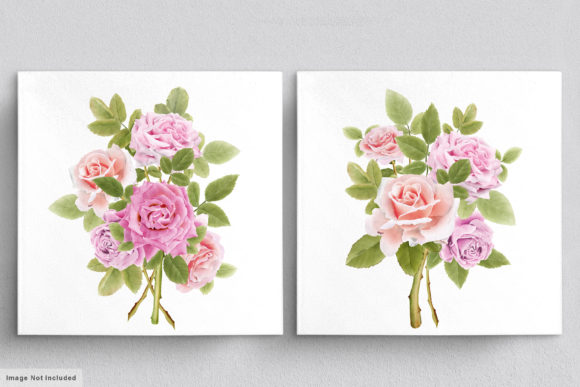 Download Beautiful Roses Hand Drawn Illustrations - Hand drawn Collection